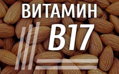 Витамин В17 (амигдалин): что это и чем опасен
