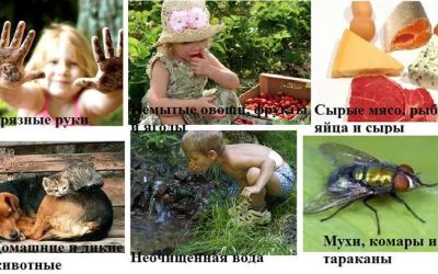 Почему в организме человека появляются глисты