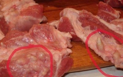 Трихинеллёз: как защититься от заражения через мясо