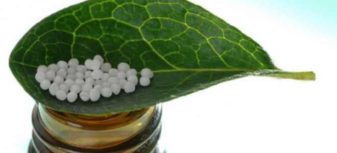 Поможет ли гомеопатия справиться с гельминтами?