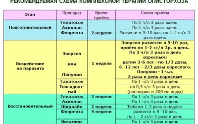 Описторхоз: схема лечения взрослого человека