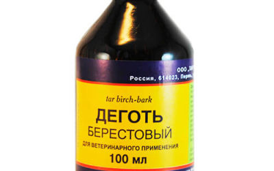 Применение березового дегтя против глистной инвазии