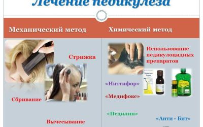 Методы лечения педикулеза