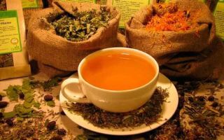 Народная медицина от паразитов: монастырский чай