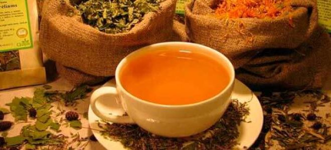 Народная медицина от паразитов: монастырский чай