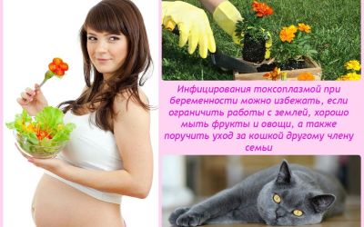 Чем опасен токсоплазмоз у беременных
