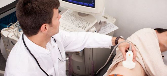 Какой метод диагностики лямблий выбрать или как поставить диагноз по анализу крови?