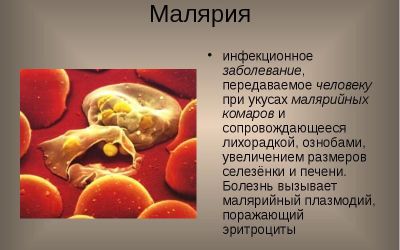 Что надо знать о малярии: виды и симптомы болезни